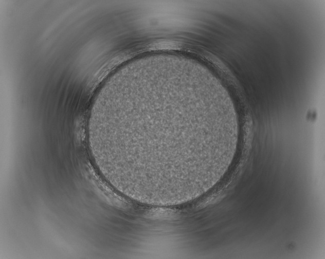 X0000113940929200911061238