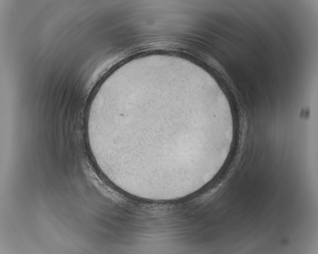 X0000113940930200911061238
