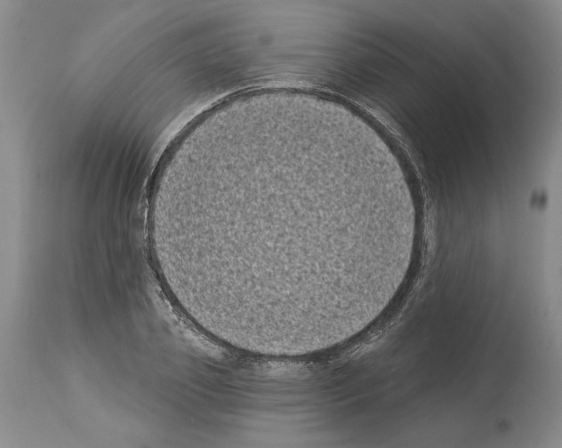 X0000113940933200911061238