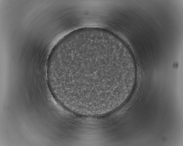 X0000113940935200911061238