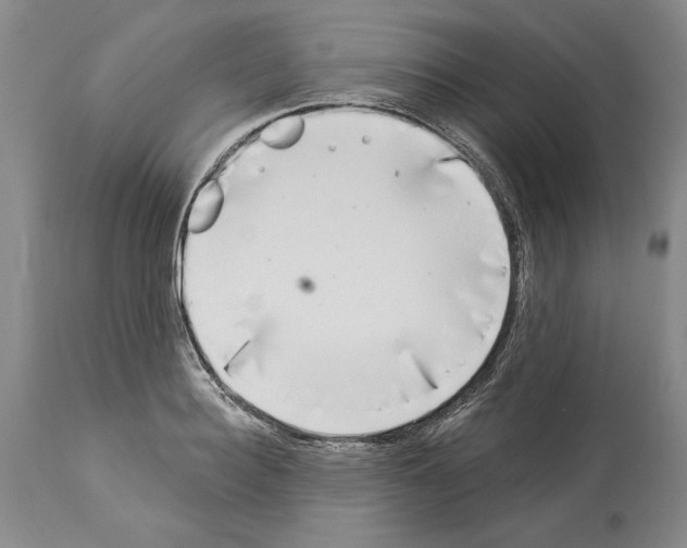 X0000113940940200911061238