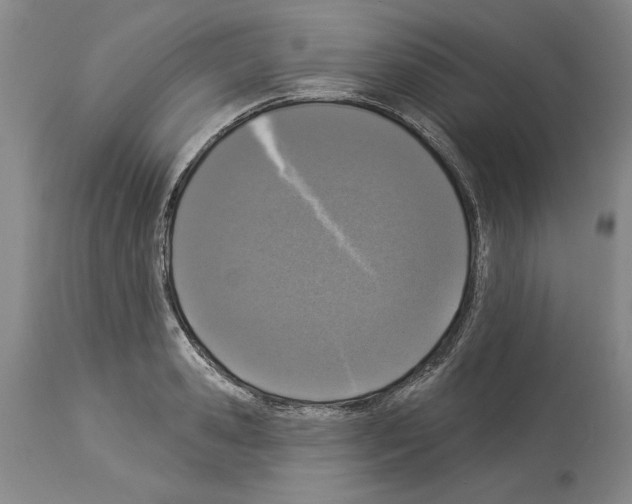 X0000113940941200911061238