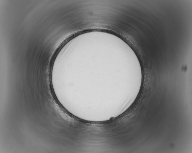 X0000113940942200911061238
