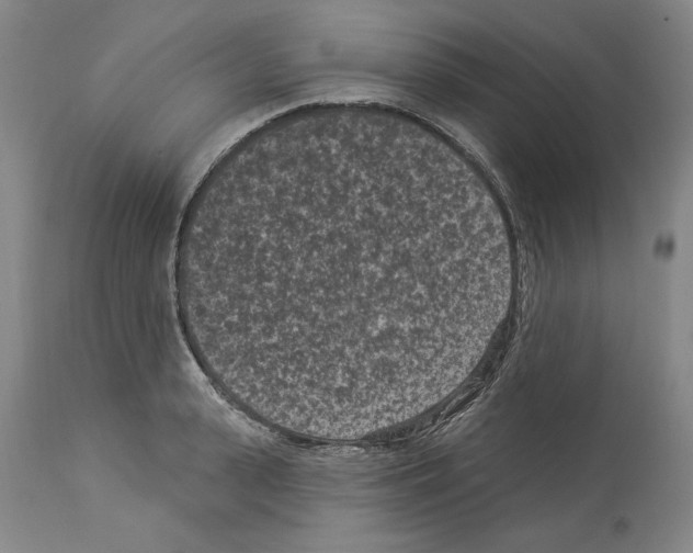 X0000113940943200911061238
