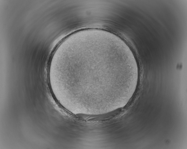X0000113940944200911061238
