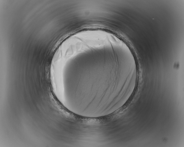 X0000113940945200911061238