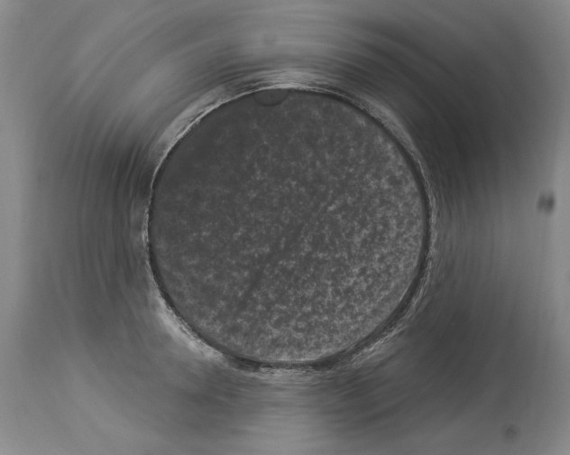 X0000113940946200911061238