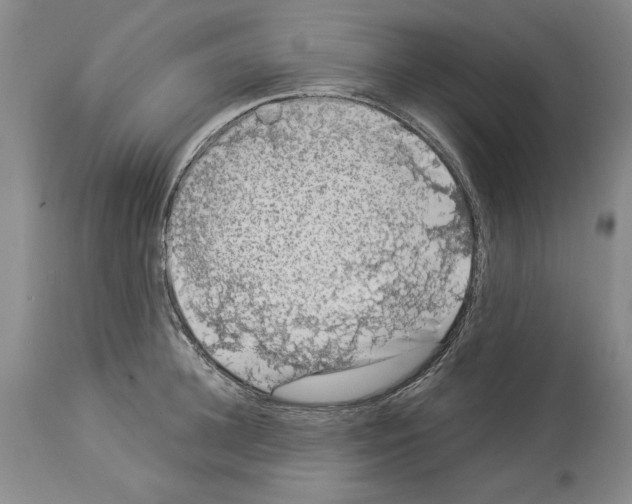 X0000113940948200911061238