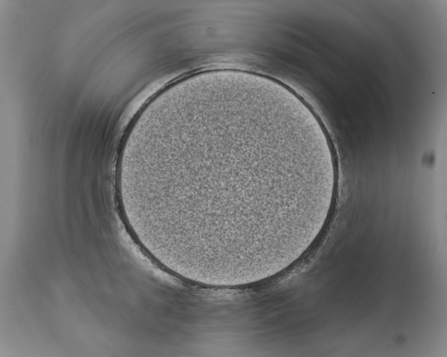 X0000113940949200911061238