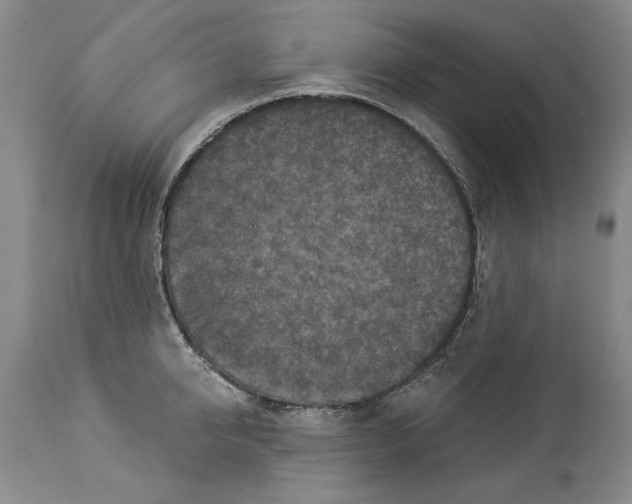 X0000113940950200911061238