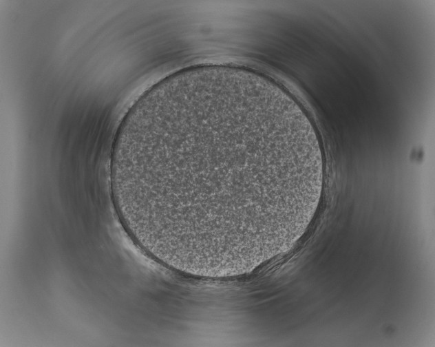 X0000113940951200911061238