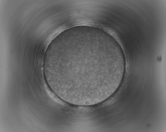 X0000113940954200911061238