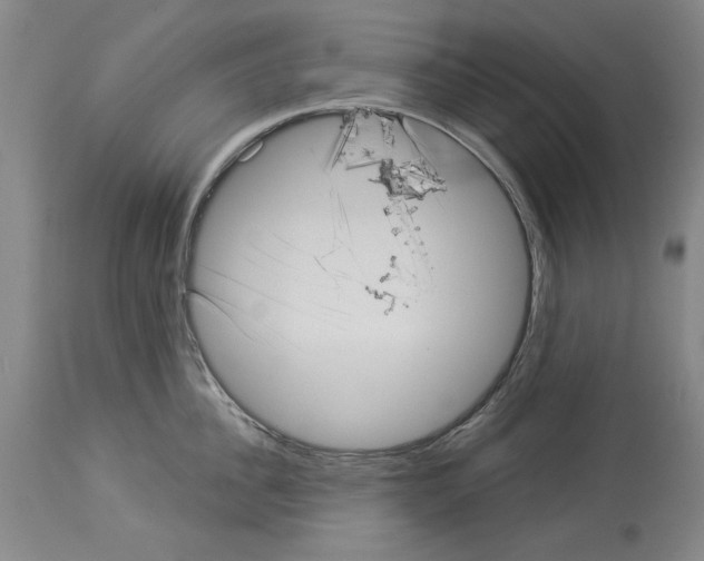 X0000113940956200911061238