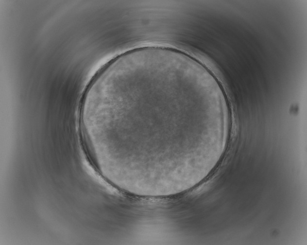 X0000113940958200911061238