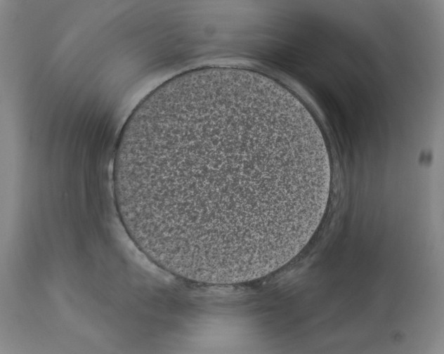X0000113940959200911061238