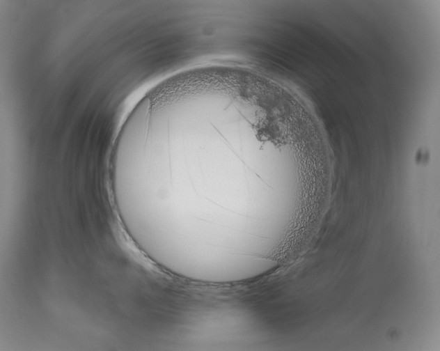 X0000113940960200911061238