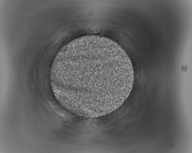 X0000113940961200911061238