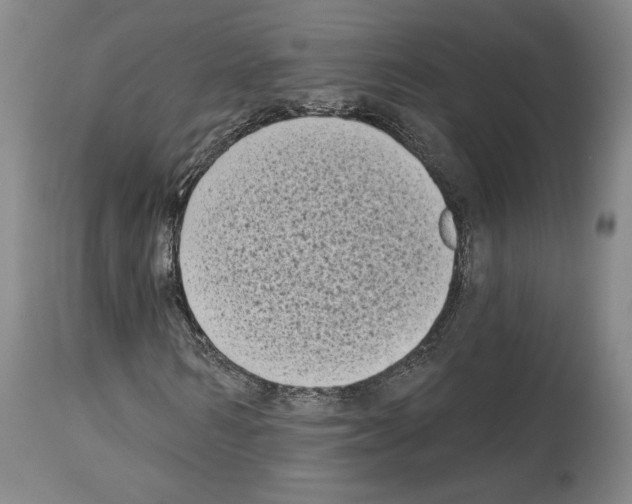 X0000113940962200911061238