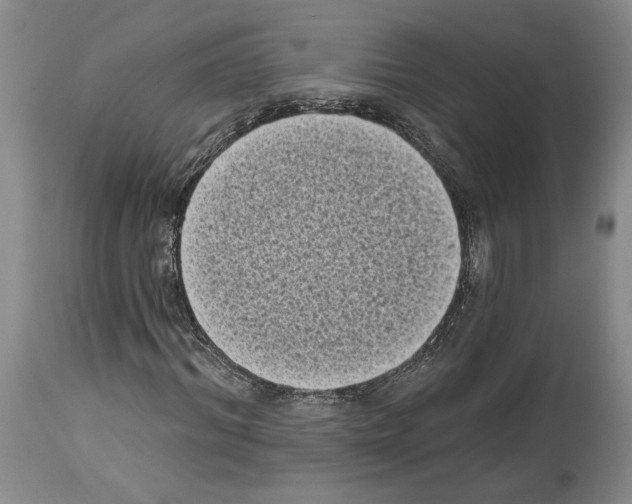 X0000113940964200911061238