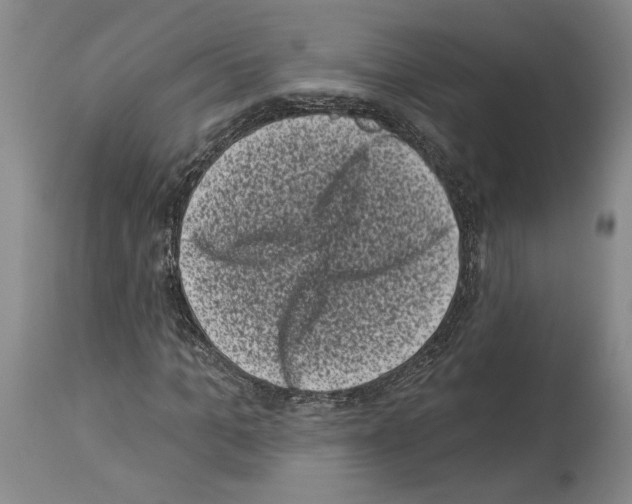 X0000113940965200911061238