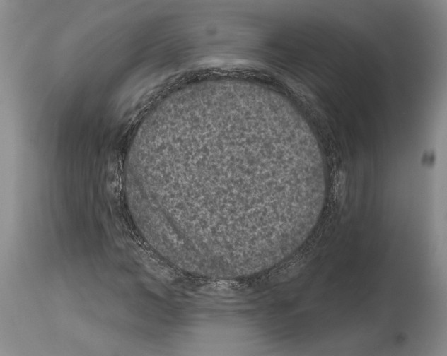 X0000113940966200911061238