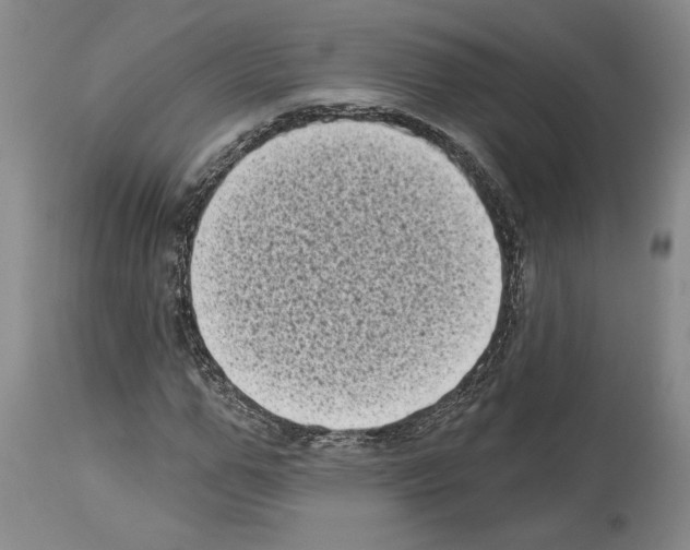 X0000113940967200911061238