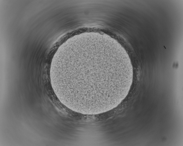X0000113940968200911061238