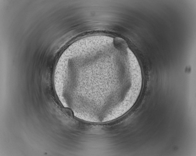 X0000113940969200911061238