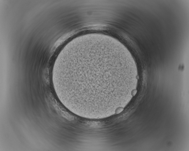 X0000113940970200911061238
