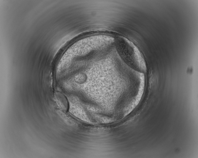 X0000113940973200911061237