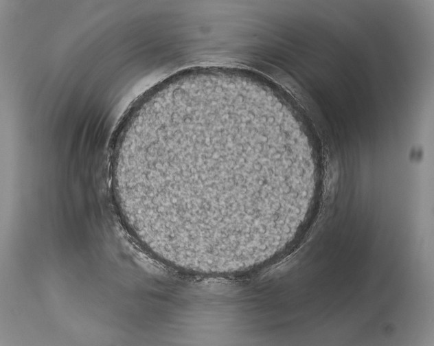 X0000113940974200911061237