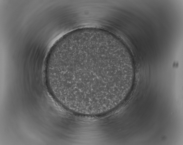 X0000113940975200911061237