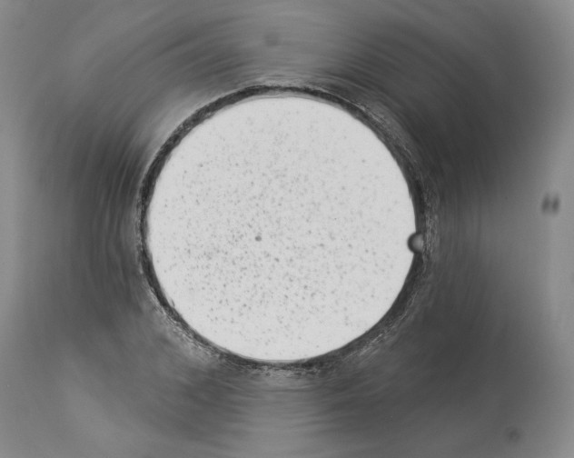 X0000113940976200911061237