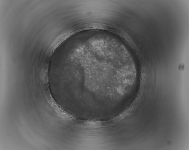 X0000113940977200911061237