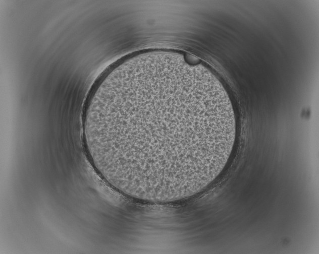 X0000113940980200911061237