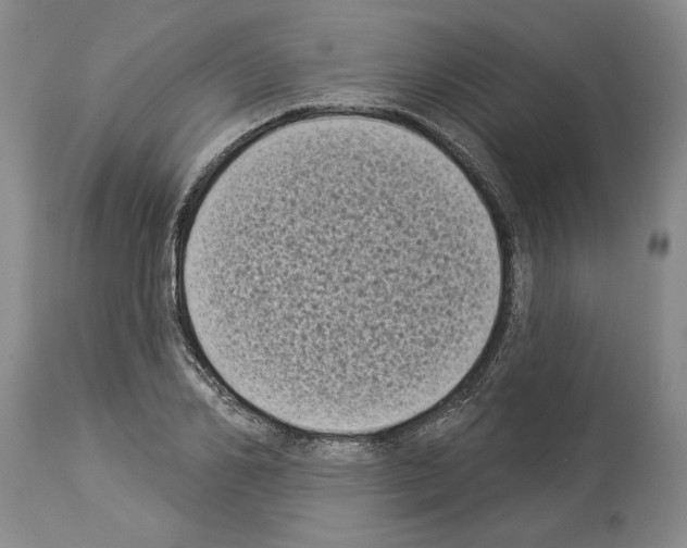 X0000113940982200911061237