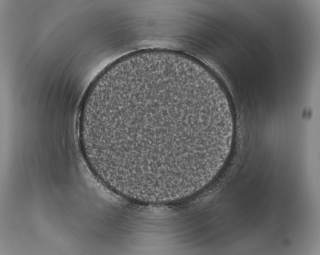 X0000113940983200911061237