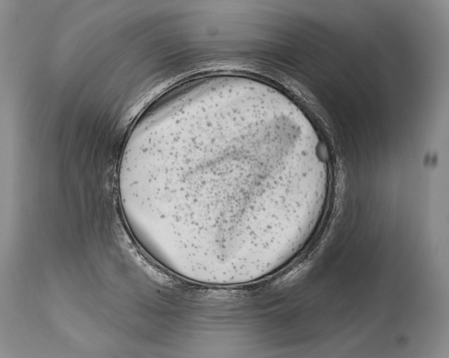 X0000113940985200911061237