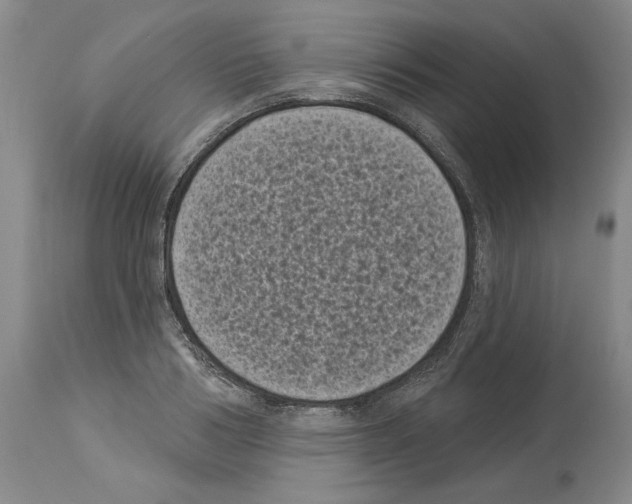 X0000113940986200911061237