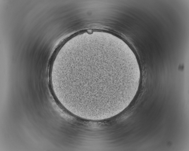 X0000113940987200911061237
