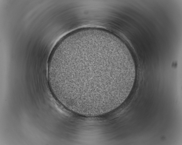 X0000113940988200911061237