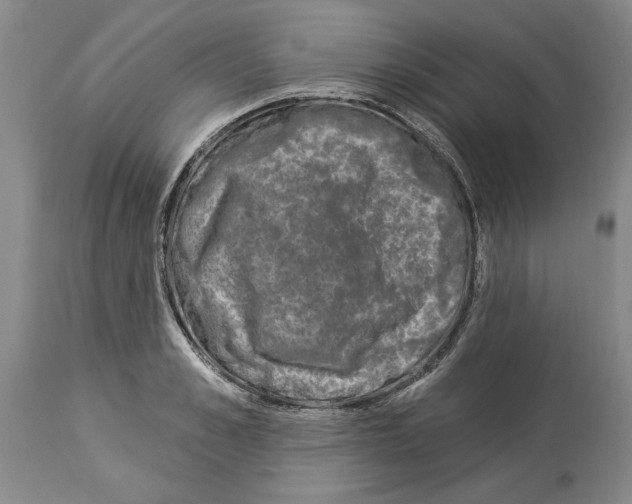 X0000113940989200911061237