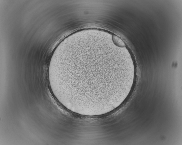 X0000113940993200911061237