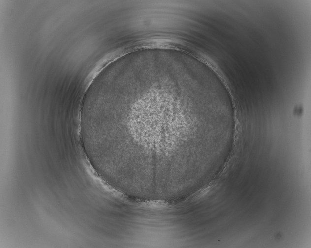 X0000113940994200911061237