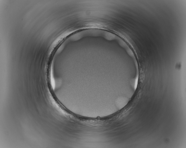 X0000113940995200911061237