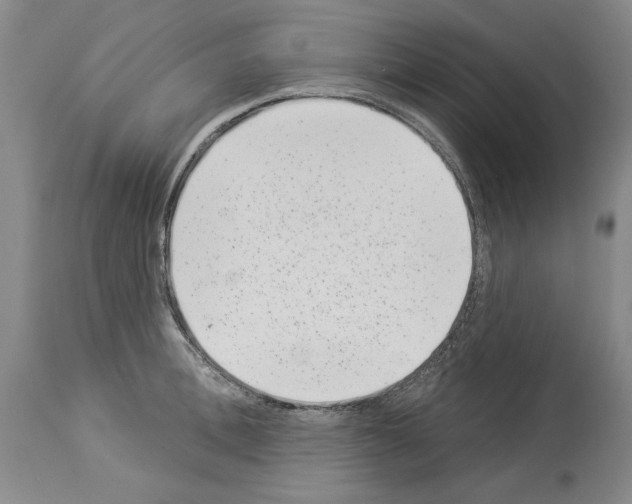 X0000113940996200911061237