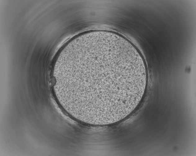 X0000113940997200911061237
