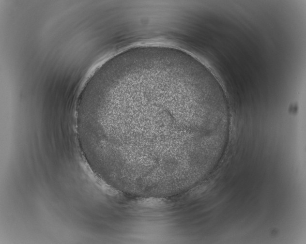 X0000113940998200911061237