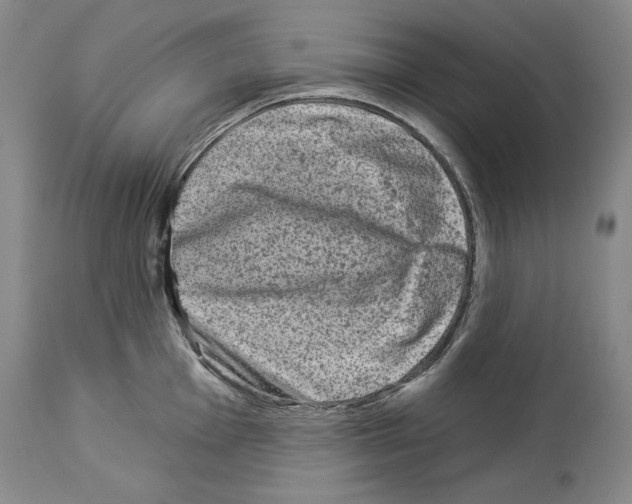 X0000113941001200911061237