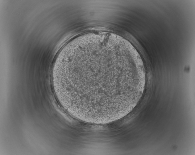 X0000113941002200911061237